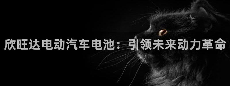 优发国际手机版下载官网