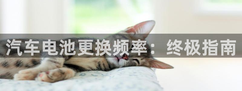 优发国际平台