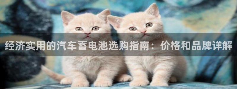 优发国际平台手机版下载官网
