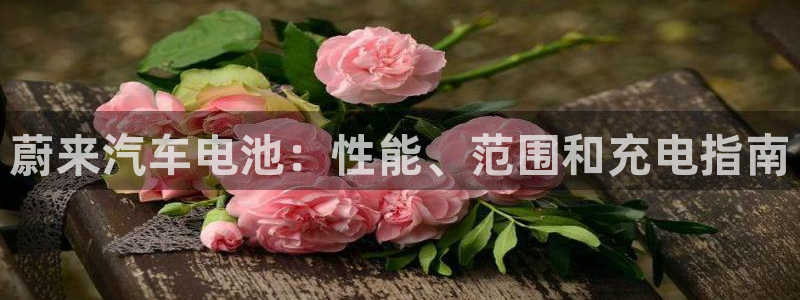 优发国际顶级