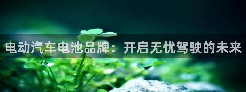 优发国际集团股份有限公司是国企吗