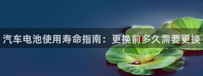 优发国际平台u8