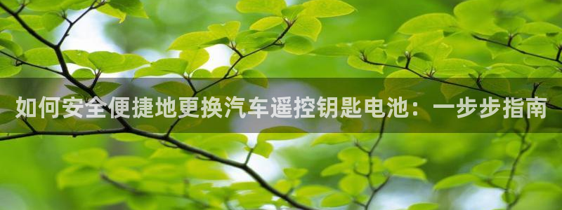优发国际的网站是