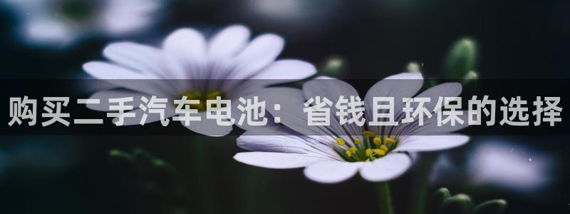 优发国际游戏n