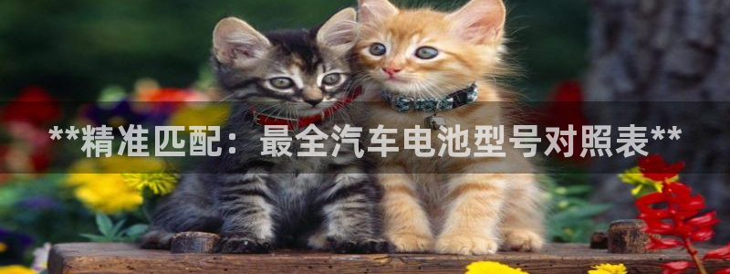 优发国际官网登陆