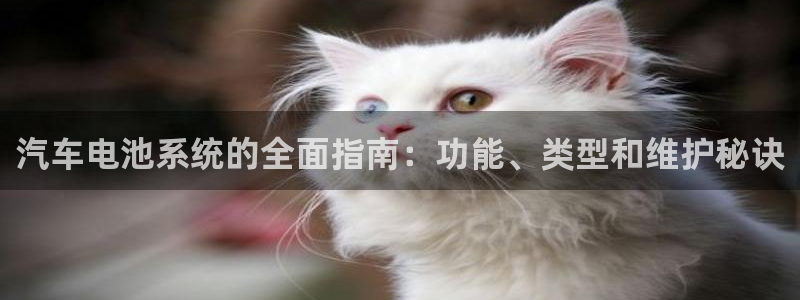 优发国际是不是黑网