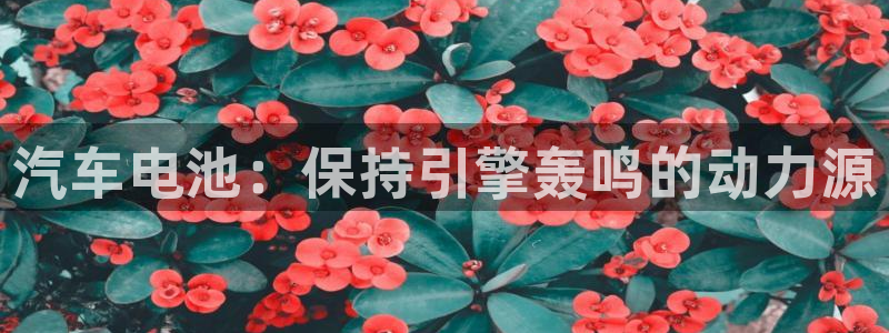 优发国际官方网平台是正品吗