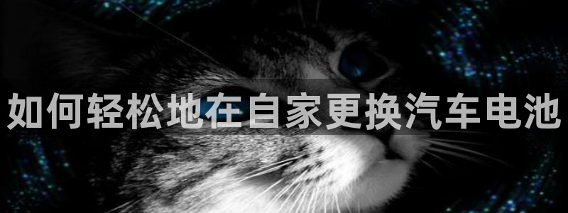 优发国际手机版下载