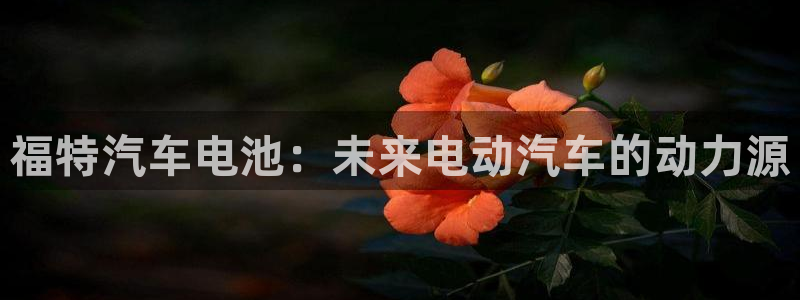 优发国际网站