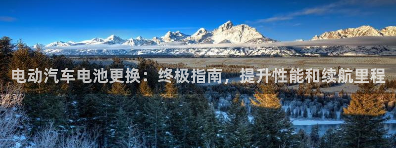 优发国际手机客户端下载不了