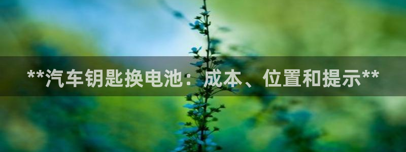 优发国际手机版官网下载
