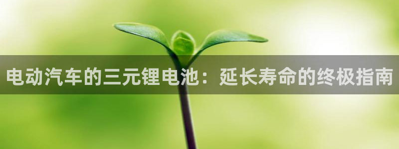 优发国际官方网手机版入口