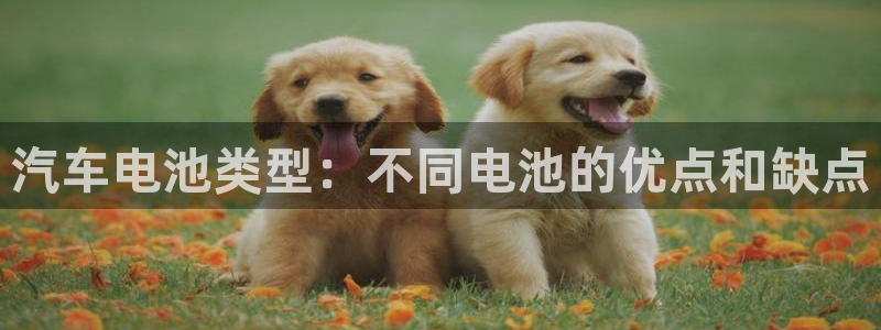 优发国际手机版官网入口