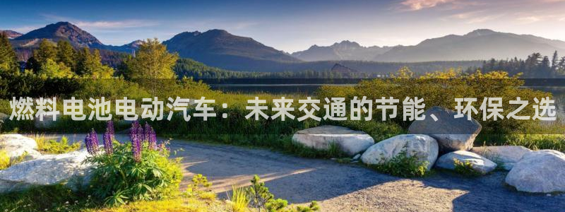 优发国际手机版网站下载