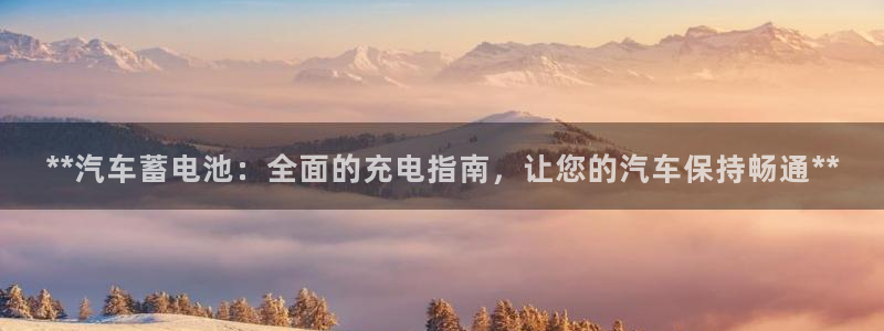 优发国际平台u8是什么公司