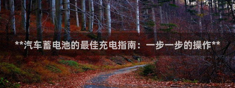 优发国际首页首页y6