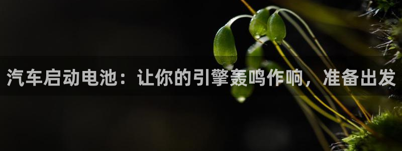 优发国际是大平台吗还是小平