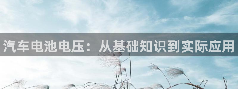 优发国际官网手机版入口