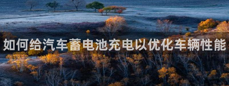 优发国际手机版唯一官网是什么