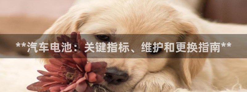 优发国际官方网平台登录