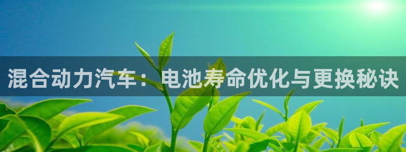 优发国际官网值是多少