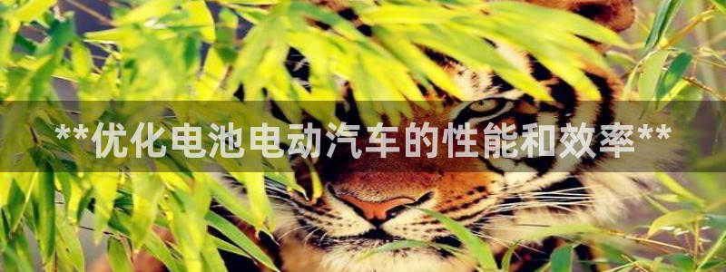 优发国际官网下载app