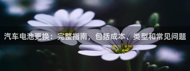 优发国际手机版网站官网
