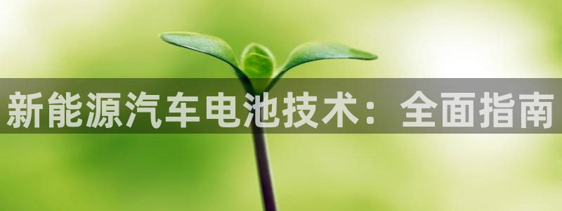 优发国际平台u8是什么公司