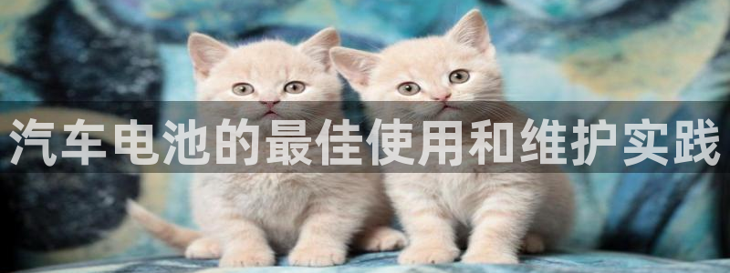 优发国际下载安装app