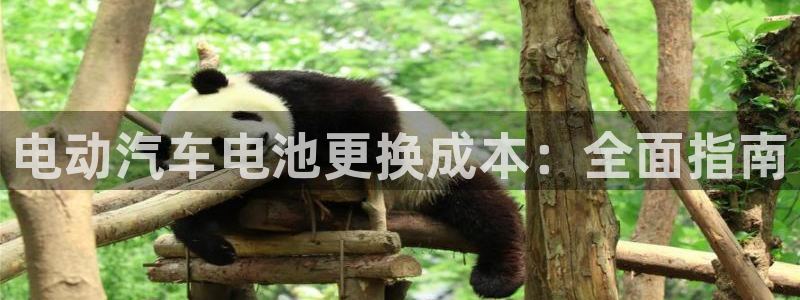 优发国际平台g8