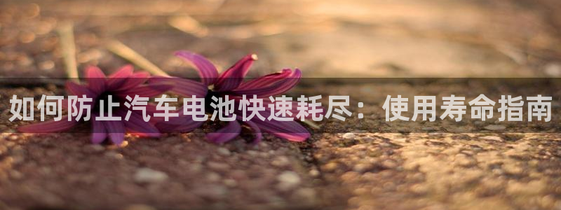 优发国际是大平台吗是真的吗