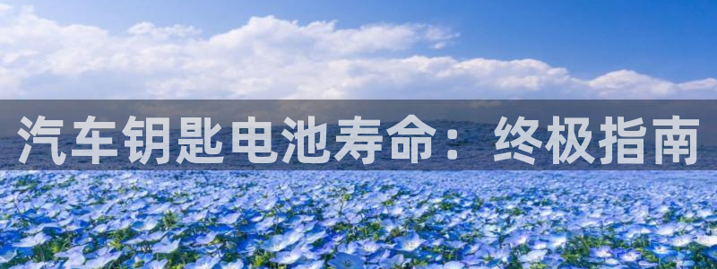 优发国际登陆