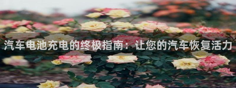 优发国际网官网17q8