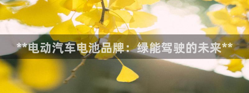 优发国际手机客户端下载安卓