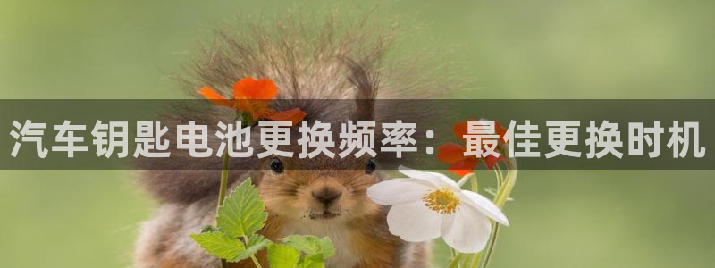 优发国际集团股份有限公司是国企吗