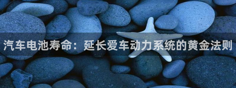优发国际手机版客户端官网