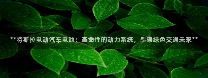 优发国际官网网站入口