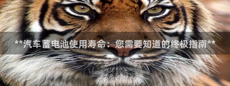 优发国际app官网下载安装手机版