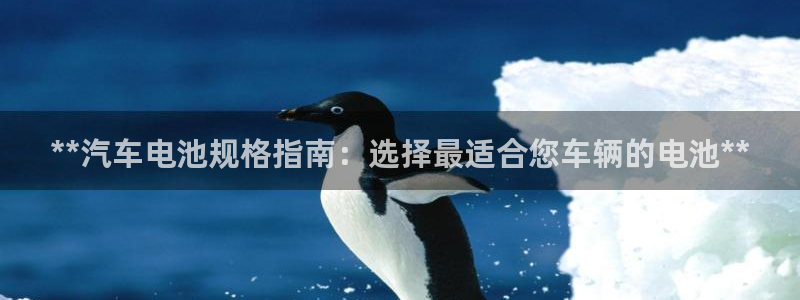优发国际安卓版下载安装苹果