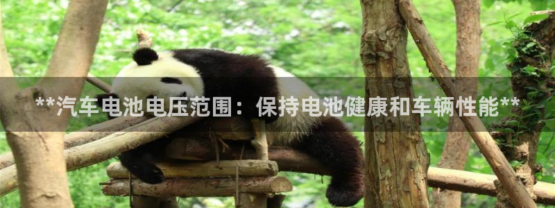优发国际这个平台怎么样啊