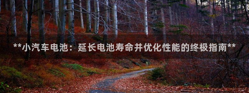 优发国际手机版唯一官网