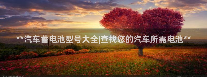 优发国际合并到哪里了