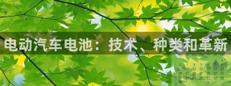 优发国际合并到哪里了啊