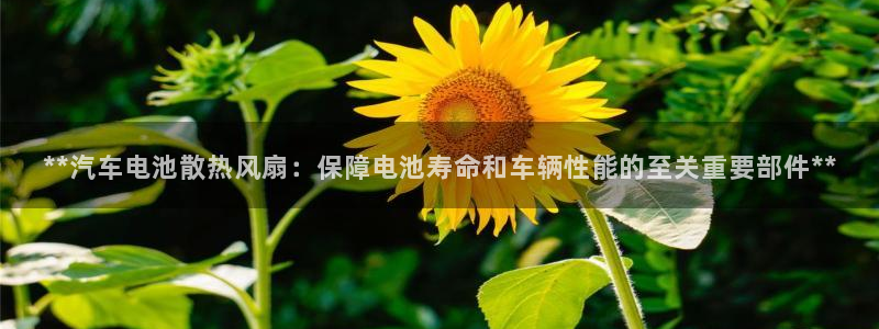 优发国际游戏n