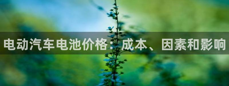 优发国际这个平台怎么样