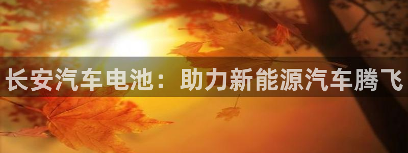 优发国际这个平台怎么样可靠吗