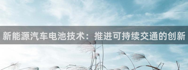 优发国际多少
