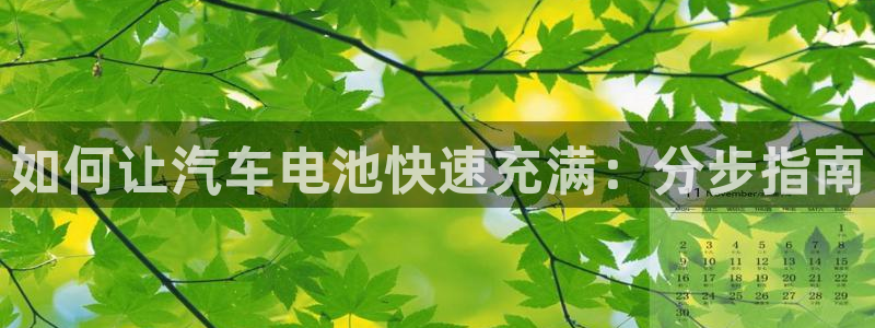 优发国际手机版下载