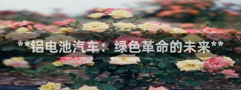 优发国际手机客户端下载安装不了