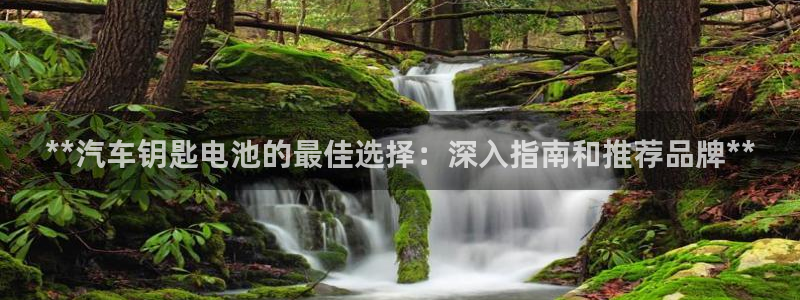 优发国际娱乐官网多少?